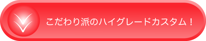 こだわり派のハイグレードカスタムボタン画像