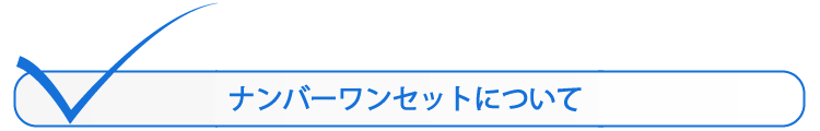 ナンバーワンセットについて